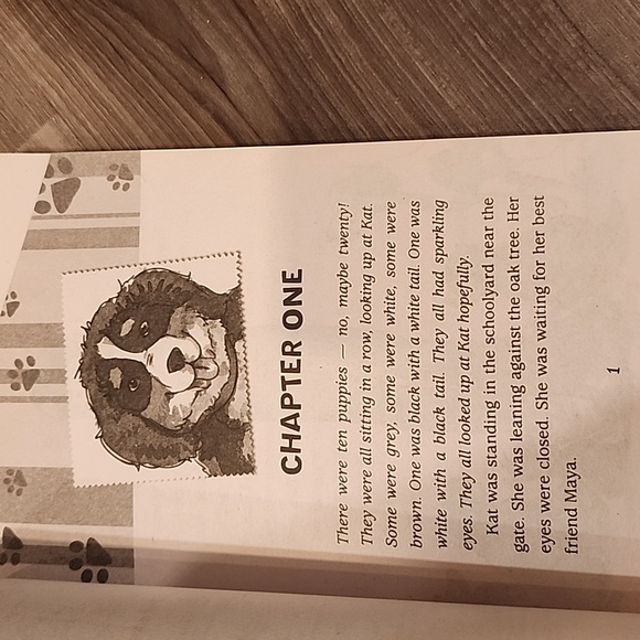 Novels - Picture 7 of 7